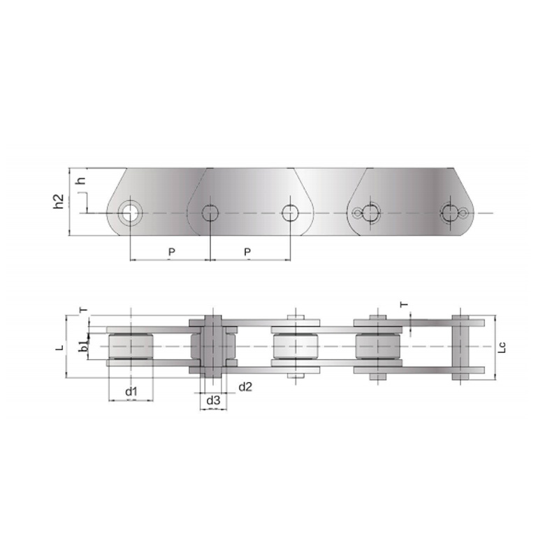 DIN-norm Grote rollentransportketting met verhoogde kettingplaat (FVT-serie)